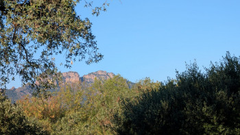 vente Maison Puget Sur Argens