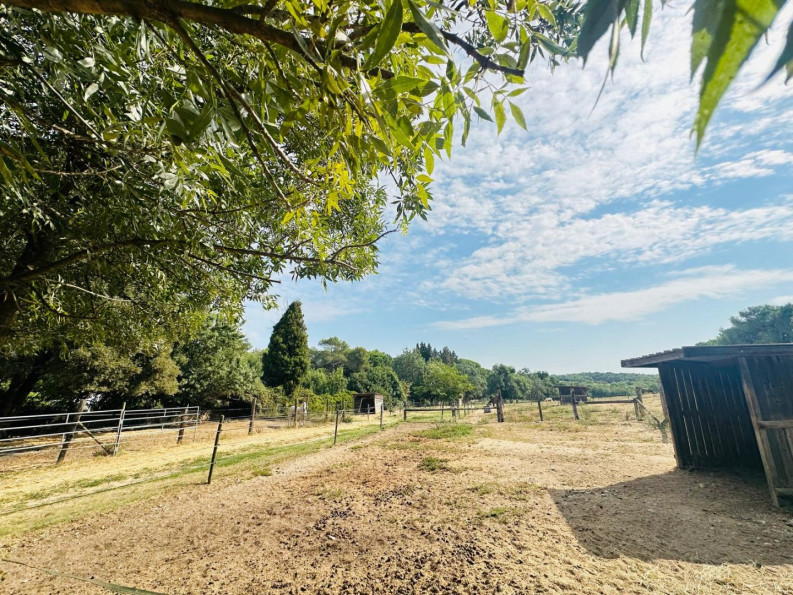 vente Domaine Castries - Photo 7