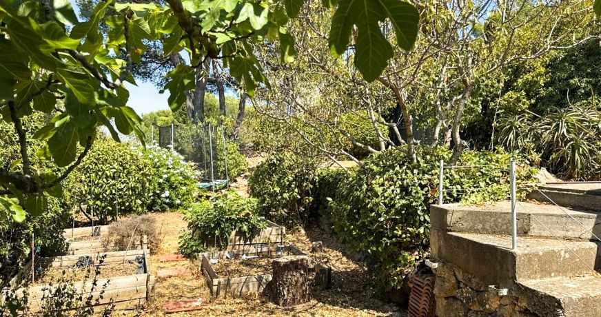 vente Maison Sete