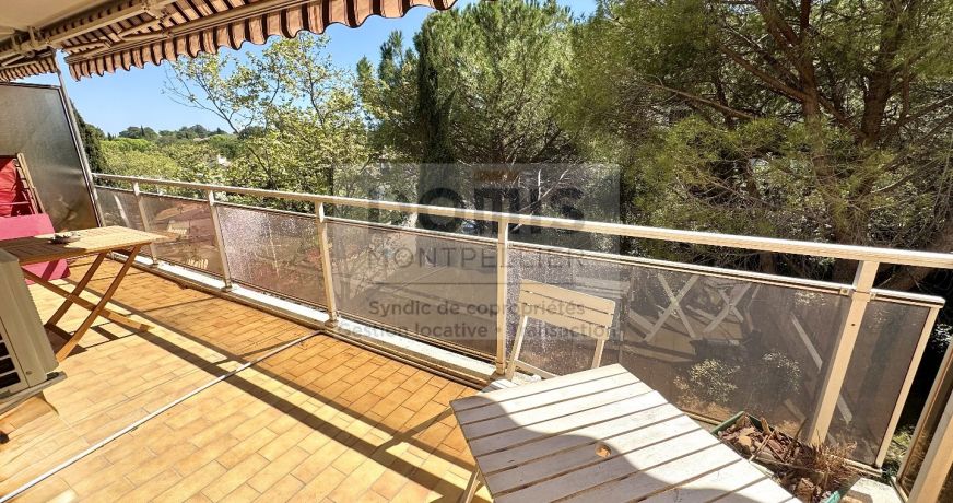 vente Appartement Montpellier