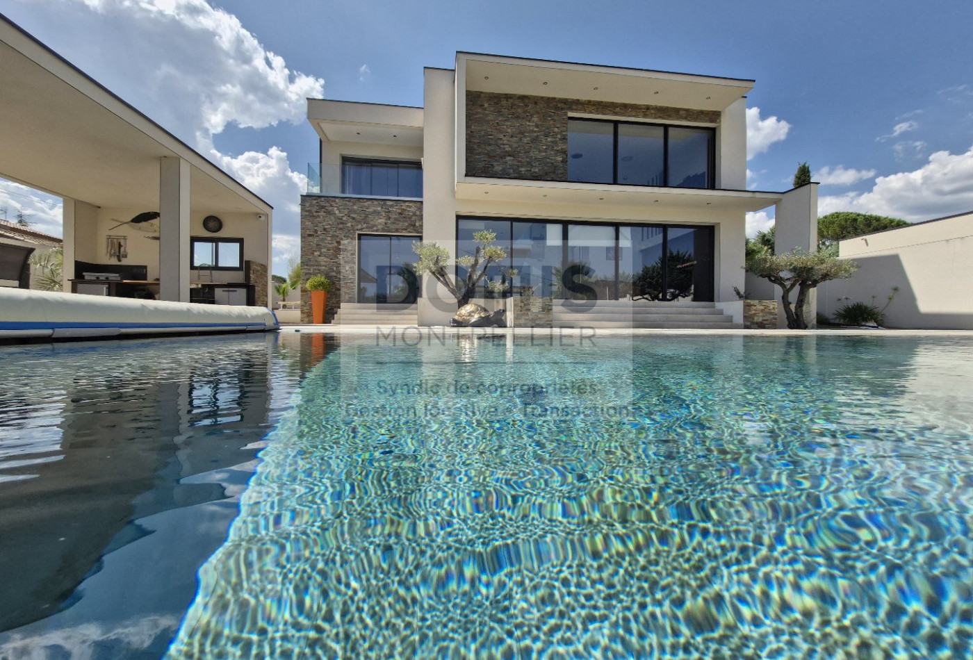vente Villa d'architecte Saint Drezery - Photo 1