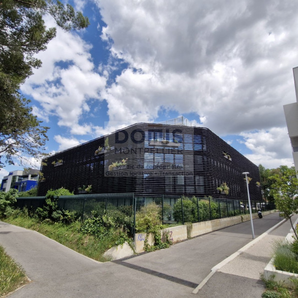 vente Bureau Lattes - Photo 2