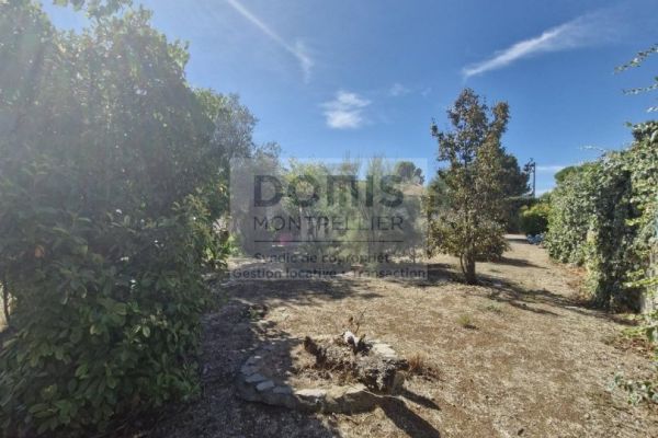 à vendre Maison Cournonterral