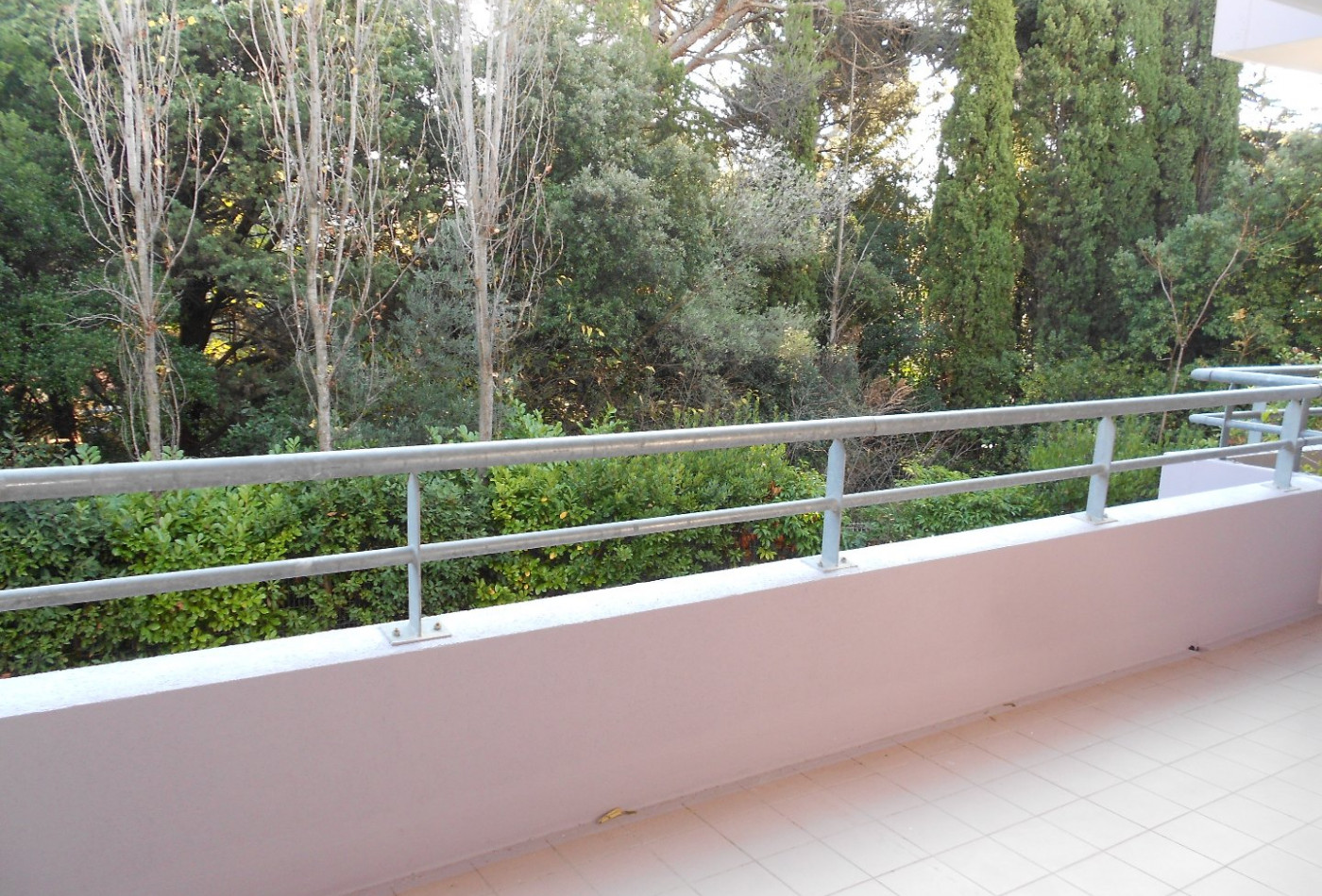 location Appartement Montpellier - Photo 1