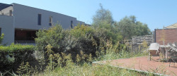 vente Maison Jacou