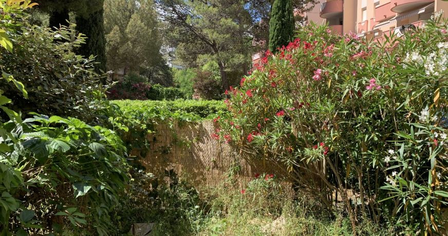 location Appartement Montpellier