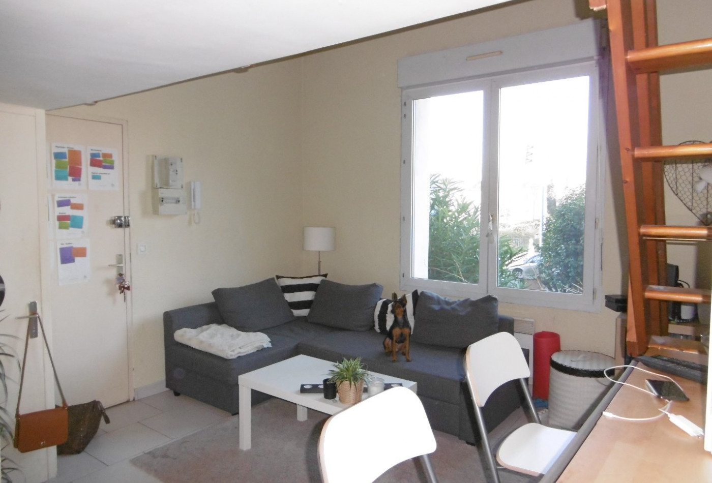 location Appartement Montpellier - Photo 2