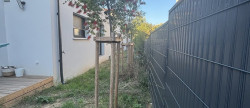 location Maison Montpellier
