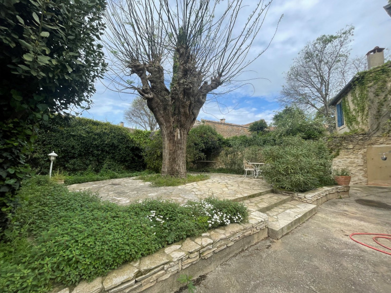 location Maison Mudaison - Photo 3