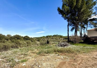 vente Terrain Cournonterral