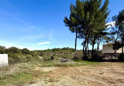 vente Terrain Cournonterral