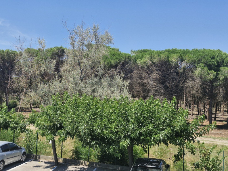 vente Appartement La Grande-motte - Photo 1