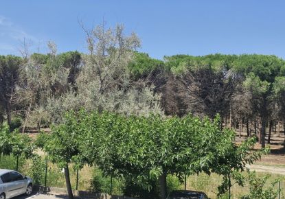 vente Appartement La Grande-motte