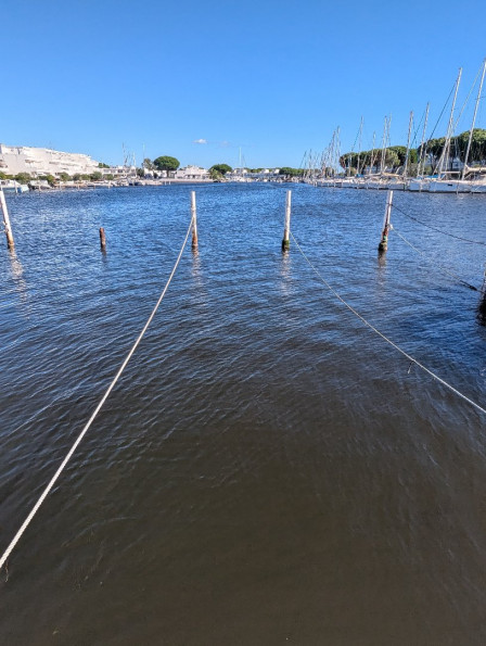 location Etang Port Camargue - Photo 1