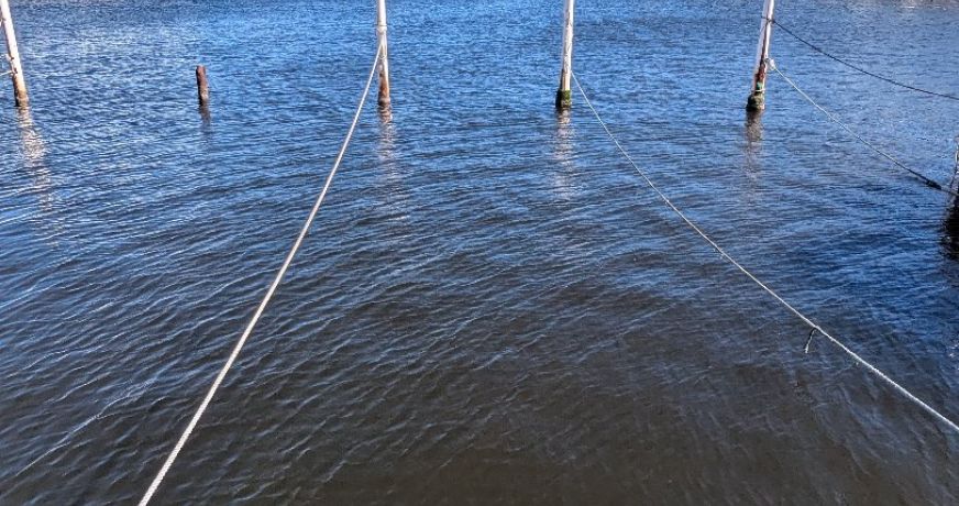 location Etang Port Camargue