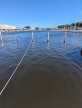 location Etang Port Camargue