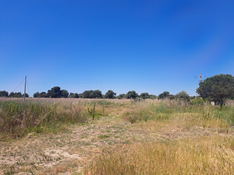 vente Terrain agricole Serignan - Photo 1