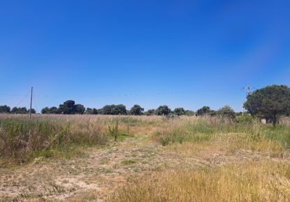 vente Terrain agricole Serignan