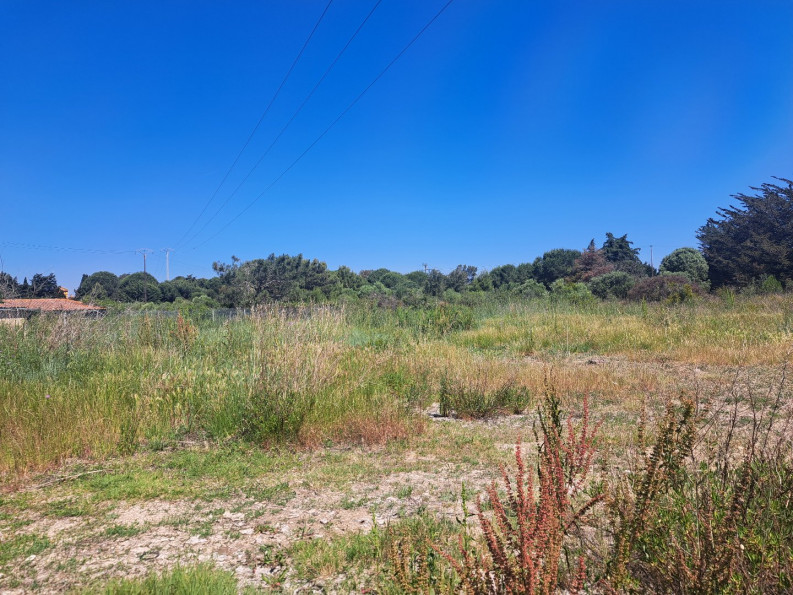 vente Terrain agricole Serignan - Photo 2