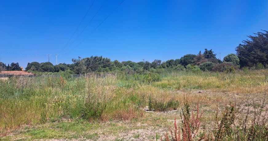 vente Terrain agricole Serignan