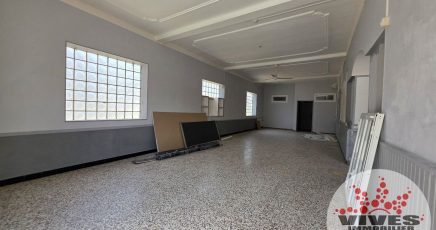 vente Immeuble commercial Capestang