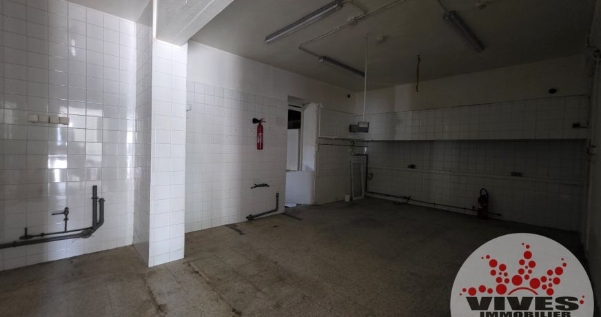 vente Immeuble commercial Capestang