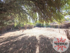 vente Terrain constructible Carpentras