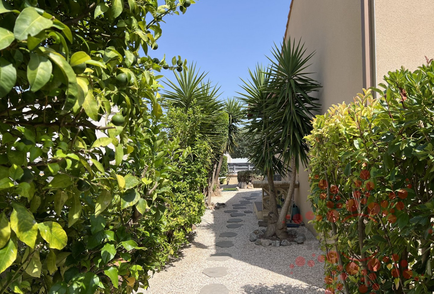 vente Villa Luc Sur Orbieu - Photo 2