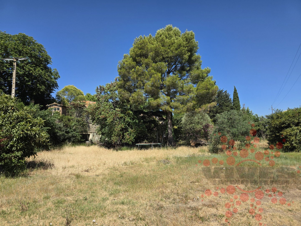 vente Domaine Beziers - Photo 8