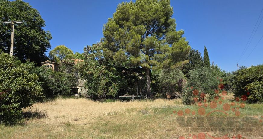 vente Domaine Beziers