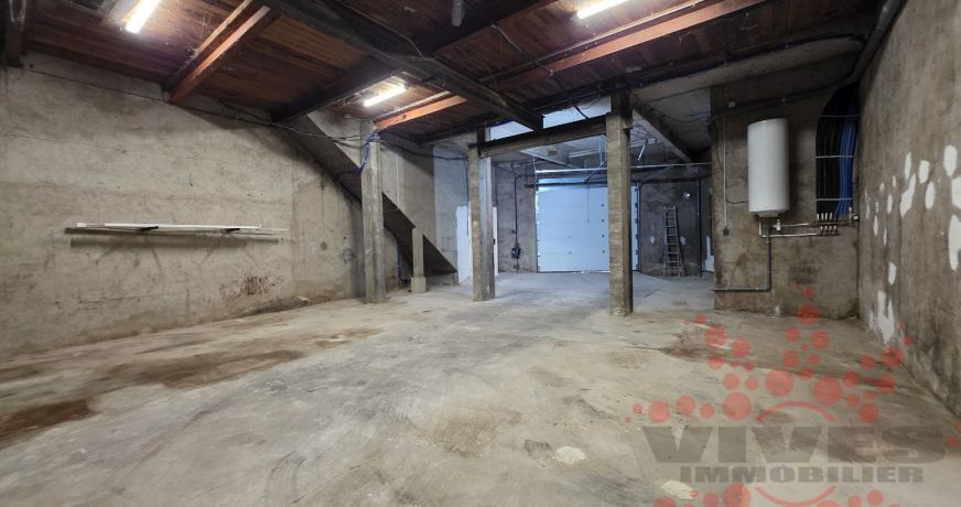 vente Maison vigneronne Capestang