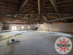 vente Immeuble commercial Capestang