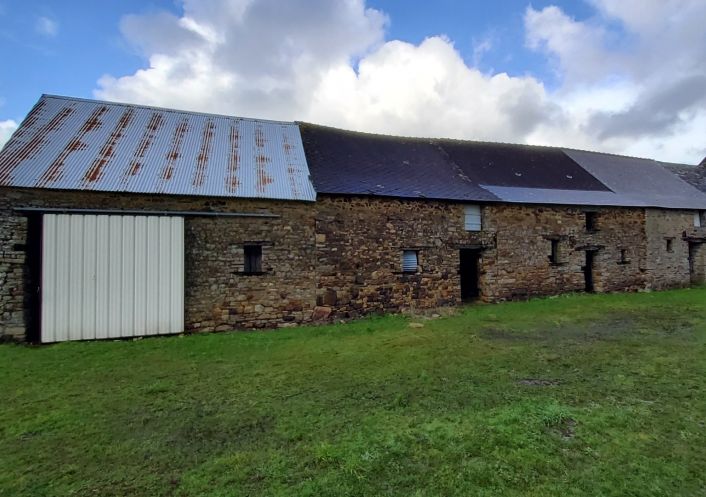 à vendre Longere La Dominelais