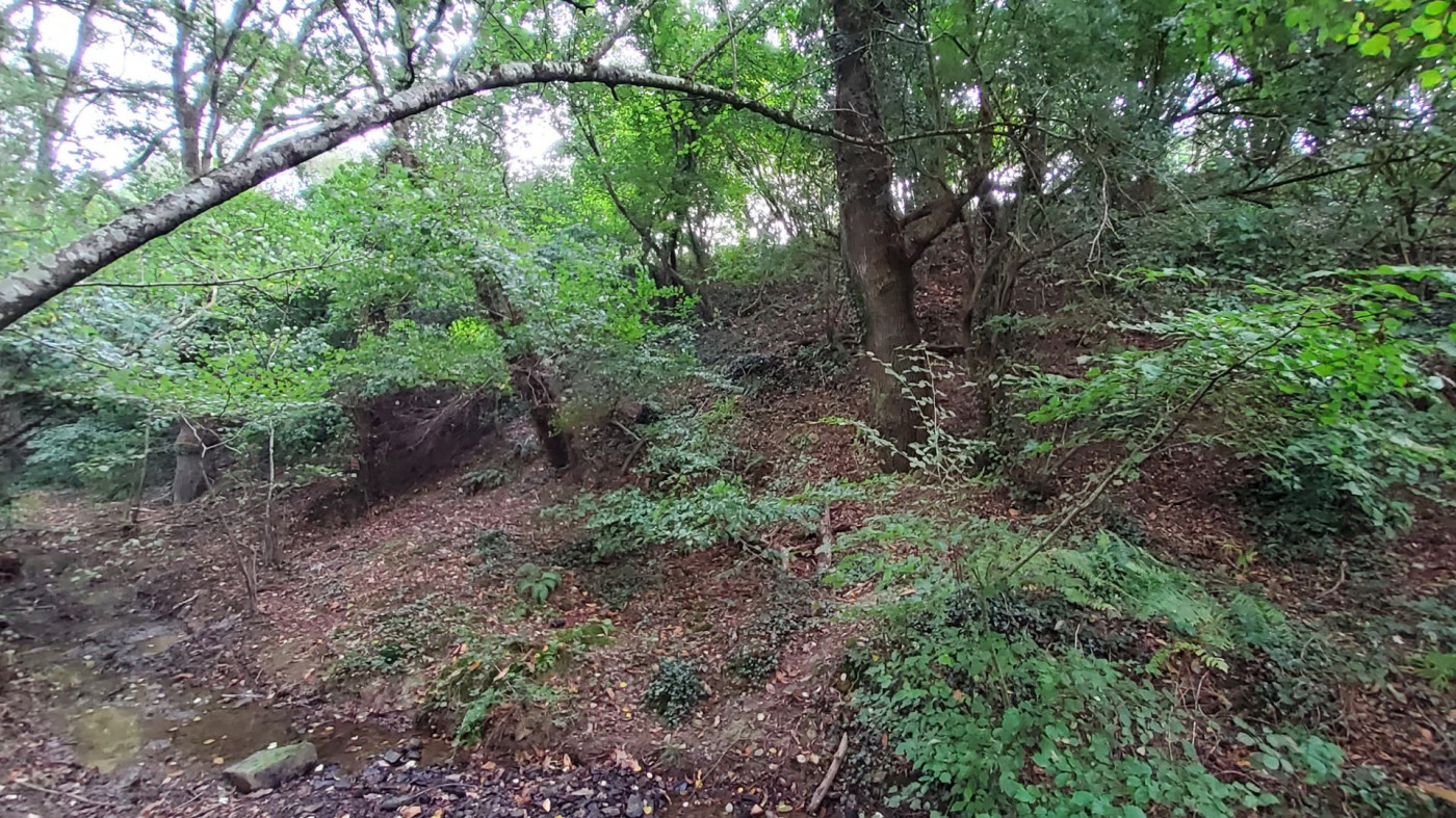 à vendre Terrain de loisir Poligne - Photo 6