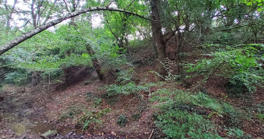 vente Terrain de loisir Poligne