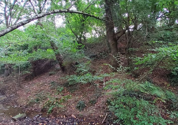 à vendre Terrain de loisir Poligne