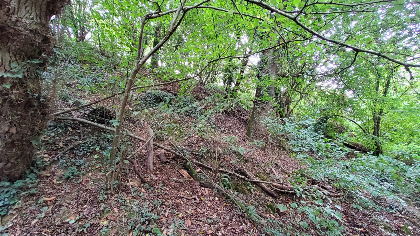 à vendre Terrain de loisir Poligne - Photo 3