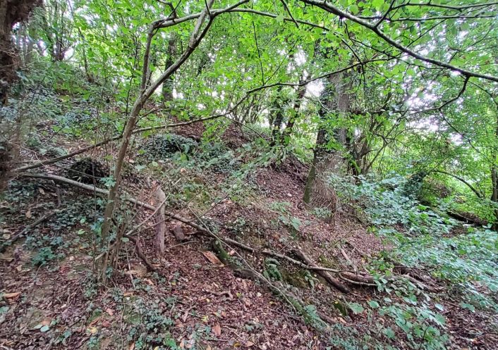 à vendre Terrain de loisir Poligne