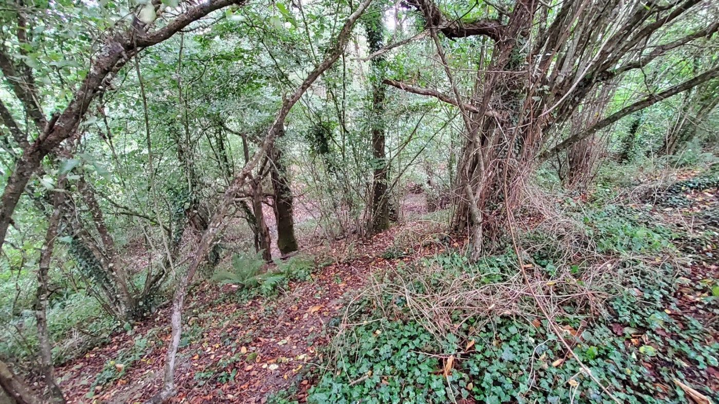 à vendre Terrain de loisir Poligne - Photo 4