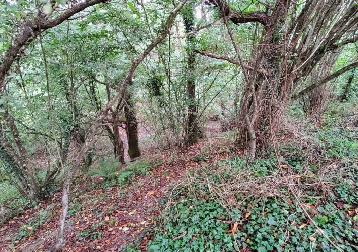 à vendre Terrain de loisir Poligne