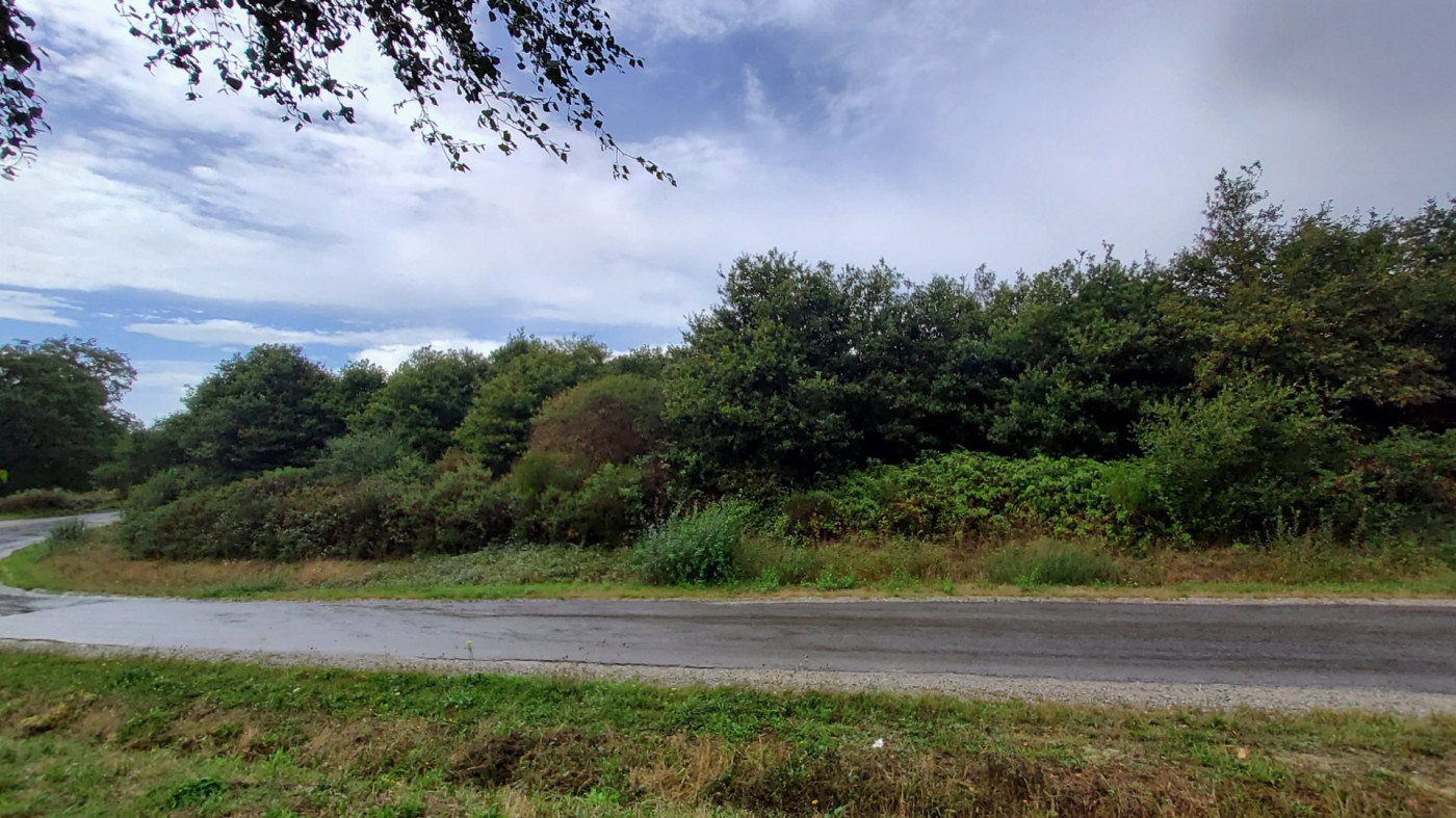 à vendre Terrain de loisir Poligne - Photo 2