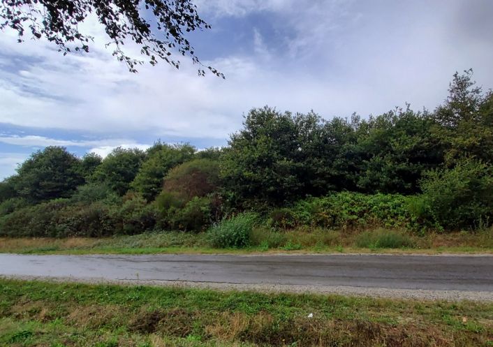 à vendre Terrain de loisir Poligne