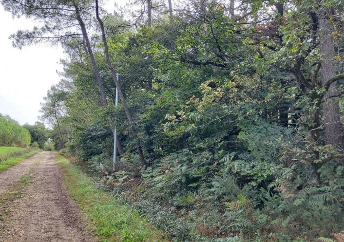 à vendre Terrain boisé – forêt Langon