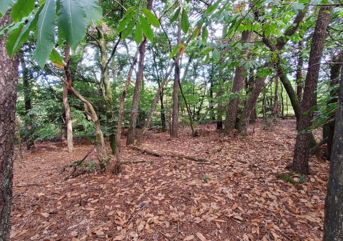 à vendre Terrain boisé – forêt Langon