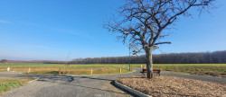 vente Terrain en lotissement Ambrault