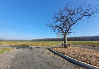 vente Terrain en lotissement Ambrault