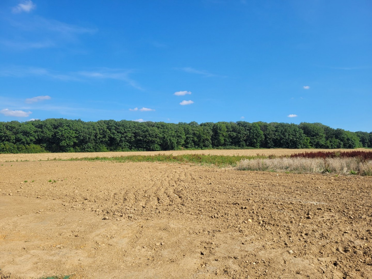 à vendre Terrain en lotissement Ambrault - Photo 5