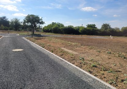 vente Terrain en lotissement Ardentes