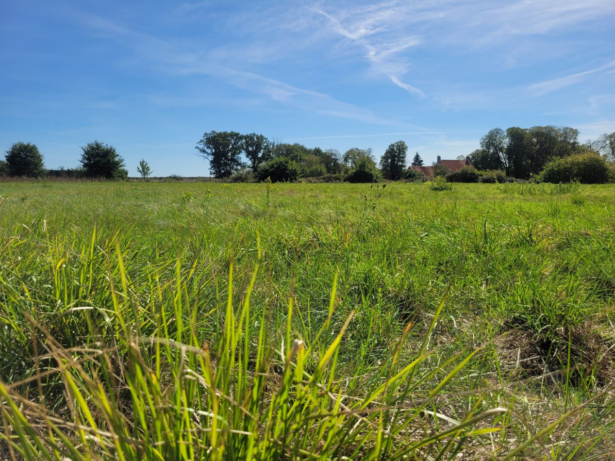 à vendre Terrain diffus (hors lotissement) Saint Aout - Photo 1