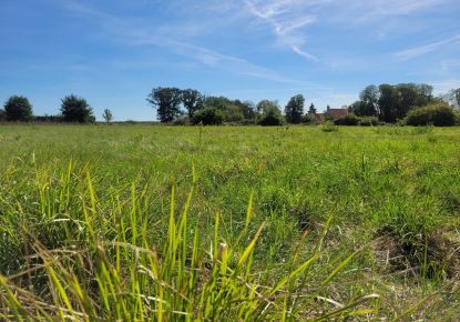 vente Terrain diffus (hors lotissement) Saint Aout